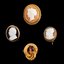 Load image into Gallery viewer, Antique Victorian 15ct Gold Carved Shell Cameo Brooch with "Menelaus" Head Greek Mythology - c.1880