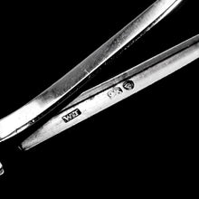 Load image into Gallery viewer, Magnificent Antique Georgian Solid Silver Grape Scissors/Shears with Figural Bacchanalia Masks - London c.1830