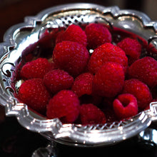 Load image into Gallery viewer, Antique Dutch Solid Silver Bowl Pipe Lighter/Brazier - Amsterdam 18th c.