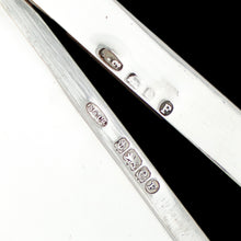 Load image into Gallery viewer, Antique Large Solid Silver Enamel Box Guilloche and Rose Design - Steinhart & Co 1904