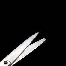 Load image into Gallery viewer, Georgian Solid Silver Grape Scissors - William Eley & William Fearn 1816 - Artisan Antiques