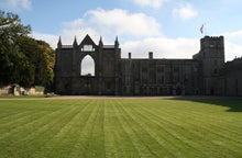 Load image into Gallery viewer, Newstead Abbey "Castle Top" Silver Table Snuff Box - Nathaniel Mills 1838 - Artisan Antiques