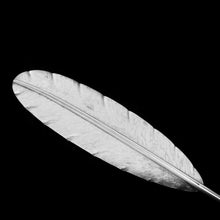 Load image into Gallery viewer, A Stylish Antique Solid Silver Feather Quill Pen - Carrington &amp; Co 1901
